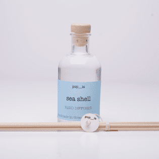 Sea Shell