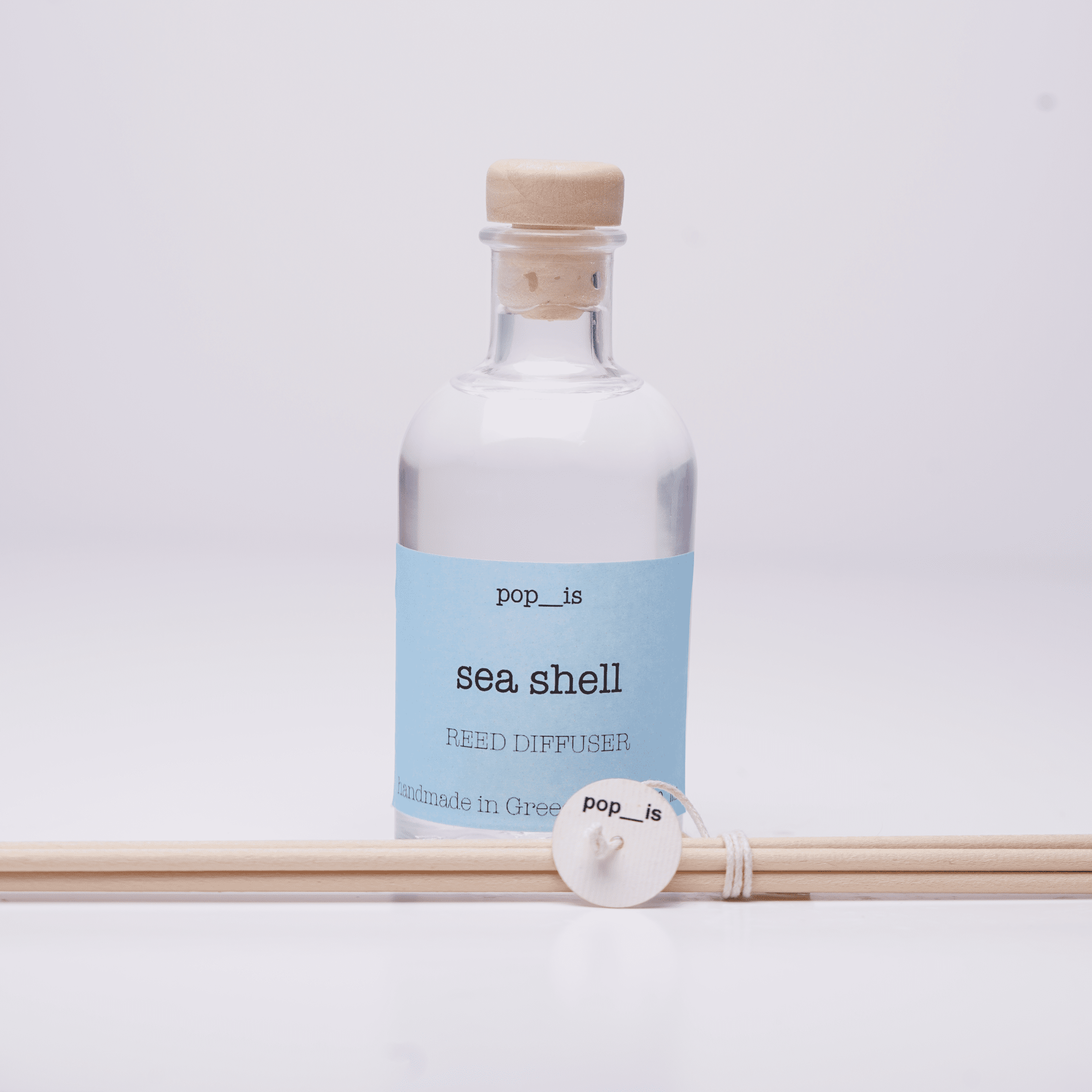 Sea Shell