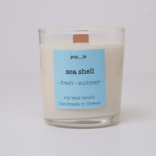 Sea Shell
